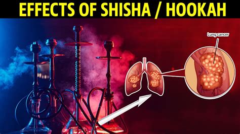 It can lead to the inhalation of harmful chemicals, increased risk of infectious diseases, heart and lung problems, and addiction. . Is herbal hookah bad for your lungs